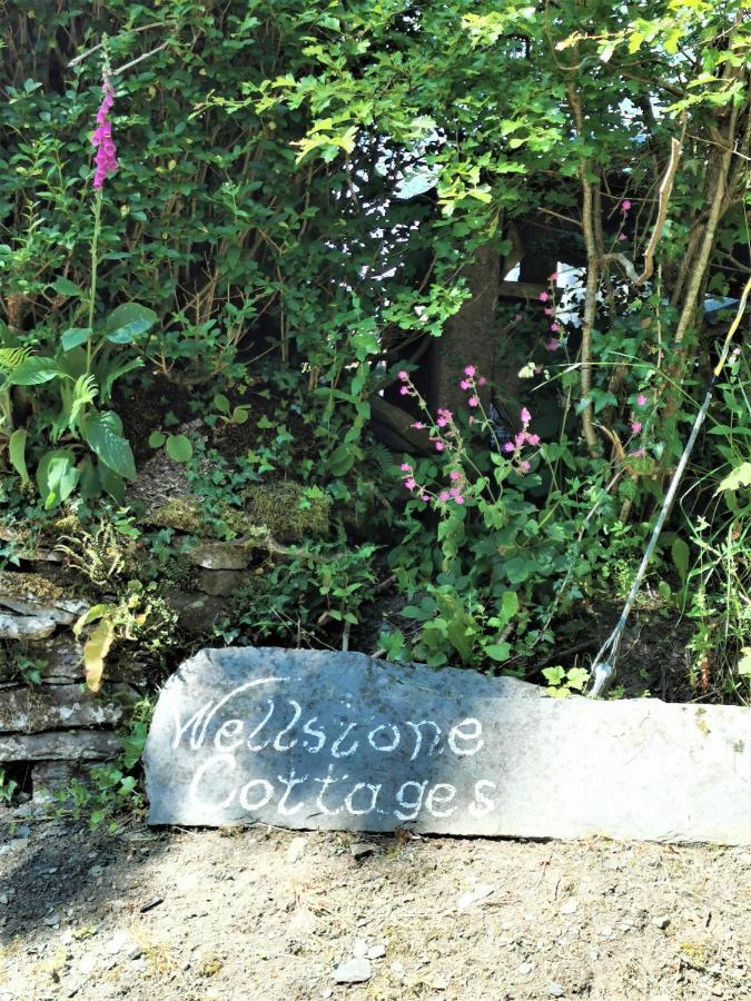 Wellstone - Jasmine