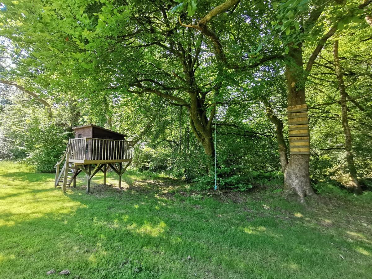 Wellstone - Jasmine * Llanfyrnach